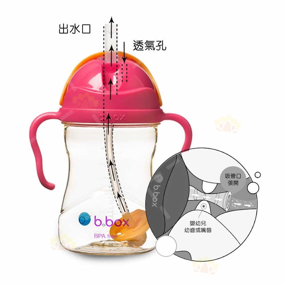 bbox021 - b.box PPSU 黄金系列 防漏吸管学饮杯 240ml