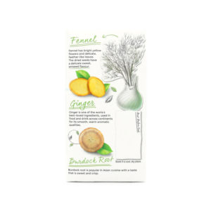 70177178567 - Twinings Detox Lemon & Ginger with Burdock Root & Fennel 20 Tea Bags