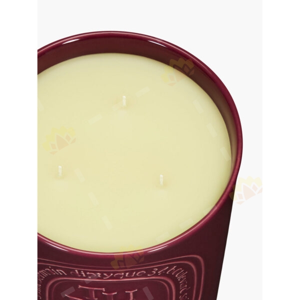 3700431444462 - Diptyque Scented Candle - Tuberose 600g