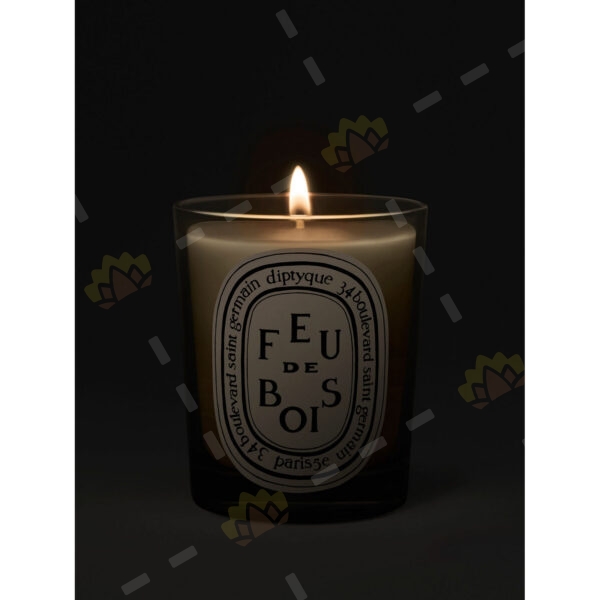 3700431400154 - Diptyque 蒂普提克 Feu De Bois 炭木香 香薰蠟燭 190g