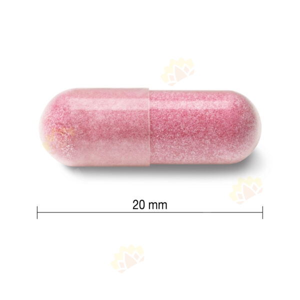 64642067739 - Jamieson 健美生 蔓越莓 250mg 100粒装