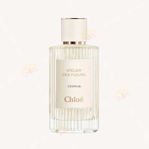 3614225344916 - Chloé 蔻依 北國雪松 濃香水 150ml