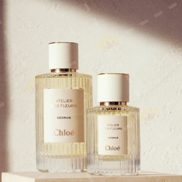 3614225344916 - Chloé 蔻依 北國雪松 濃香水 150ml