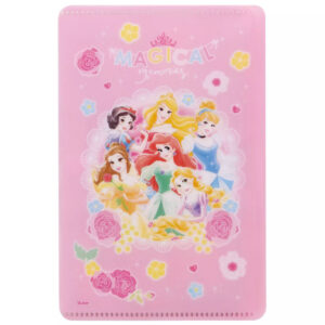 4973307529337 - Skater Princess Children's Face Mask Storage Case