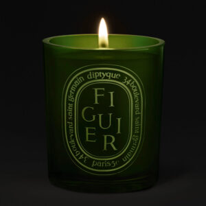 3700431404787 - Diptyque Figuier (Fig Tree) Scented Candle 300g