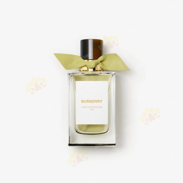 3614229408232 - Burberry Signatures Hawthorn Bloom Eau de Parfum 100ml