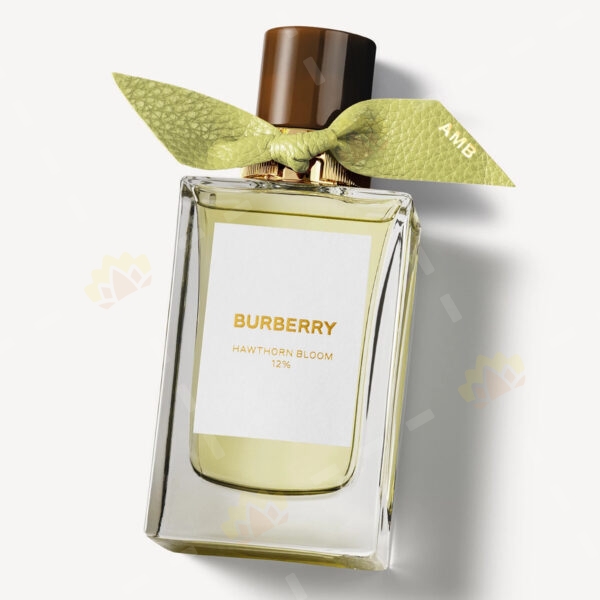 3614229408232 - Burberry Signatures Hawthorn Bloom Eau de Parfum 100ml