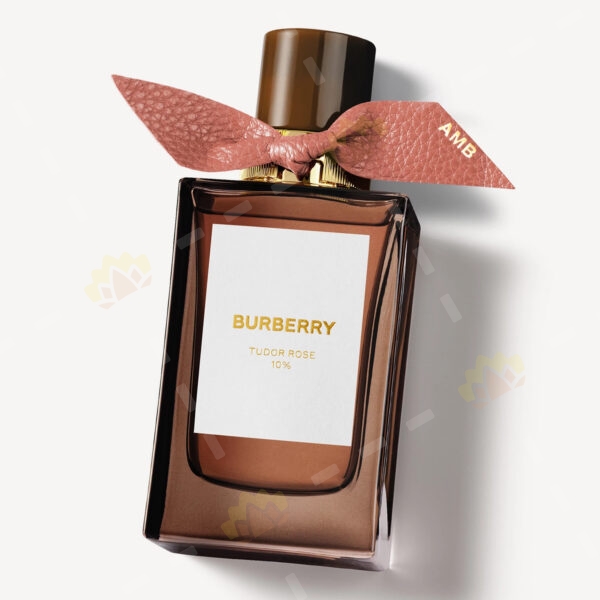 3614229408256 - Burberry Signatures Tudor Rose 10% Eau de Parfum 100ml