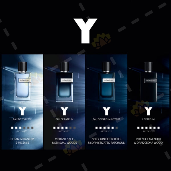 3614273683401 - YSL 圣罗兰 先锋男士 淡香水 100ml