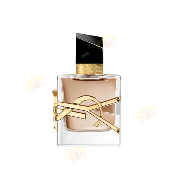 3614274151145 - YSL 圣罗兰 生而不羁 男士 浓香水 礼盒装 (100ml+10ml)