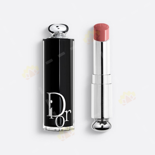 3348901609821 - Dior 鏡光誘惑唇膏 #422 Rose Des Vents