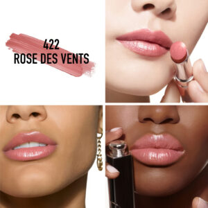 3348901609821 - Dior 鏡光誘惑唇膏 #422 Rose Des Vents