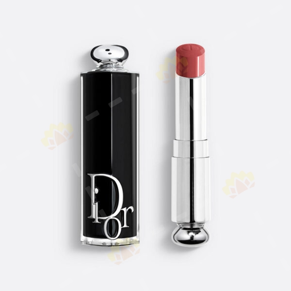 3348901609883 - Dior 鏡光誘惑唇膏 #558 Bois De Rose