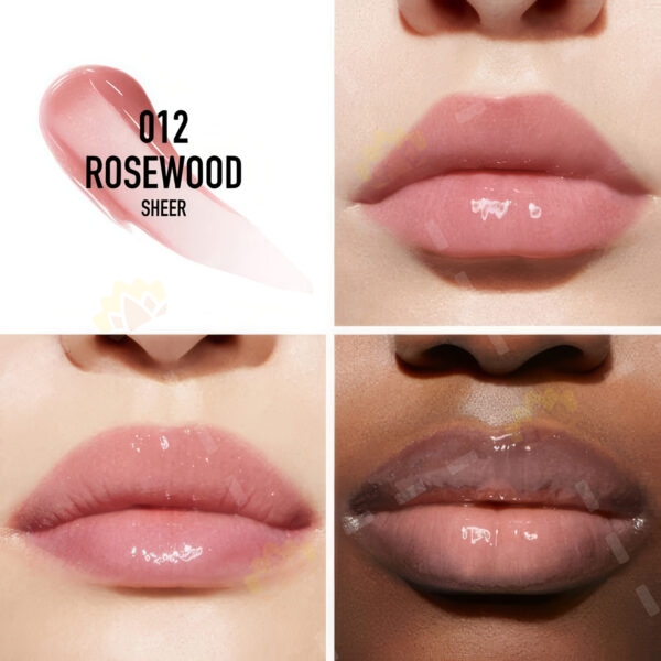 3348901636100 - Dior 誘惑豐盈水潤唇彩 #012 Rosewood