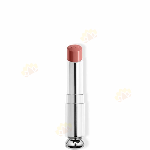 3348901618199 - Dior 鏡光誘惑唇膏 替換裝 #100 Nude Look