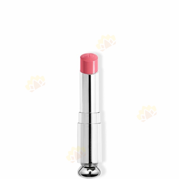 3348901618229 - Dior 鏡光誘惑唇膏 替換裝 #373 Rose Celestial