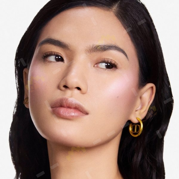 3348901729314 - Dior 傲姿胭脂修容组合 #287 Dioramour