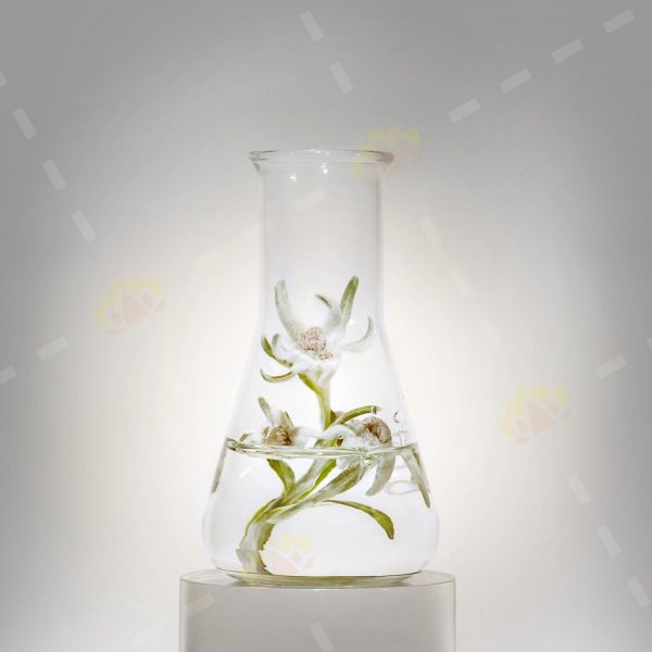 3614272795006 - Helena Rubinstein 全效极光焕采 防晒妆前底霜 30ml