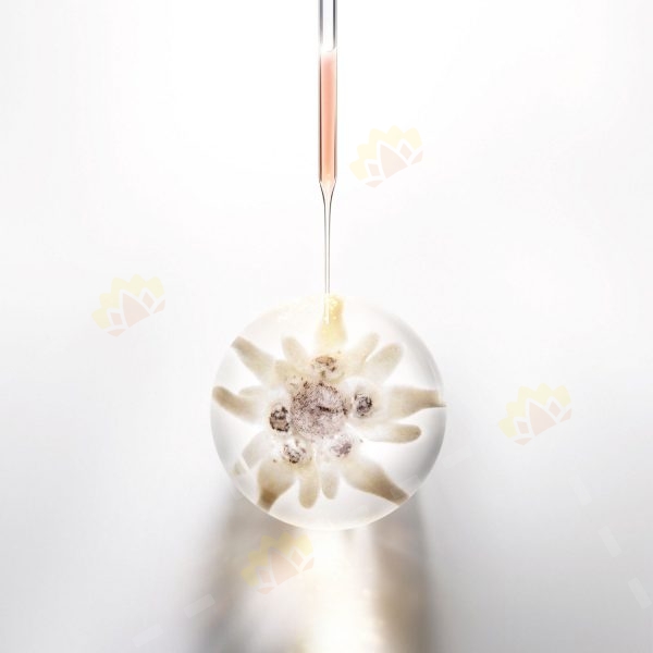 3614272795006 - Helena Rubinstein 全效极光焕采 防晒妆前底霜 30ml