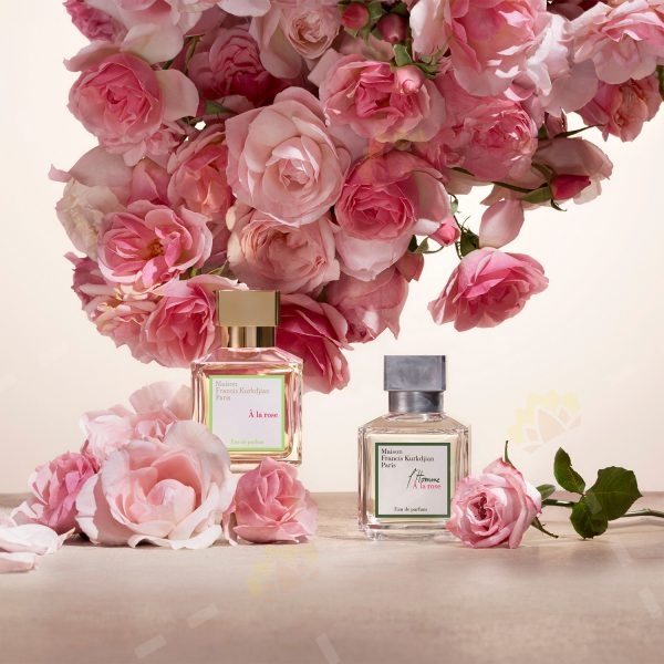 3700559612255 - Maison Francis Kurkdjian 库尔吉安 一支玫瑰 浓香水 70ml