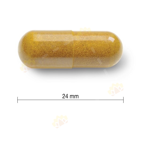 64642078896 - Jamieson 健美生 姜黄素 550mg 60粒装